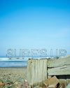 3D Galvanised metal wire beach signs. Beach/Surf"s Up.