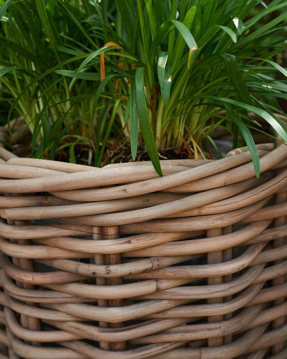 woven rattan planter with plastic liner