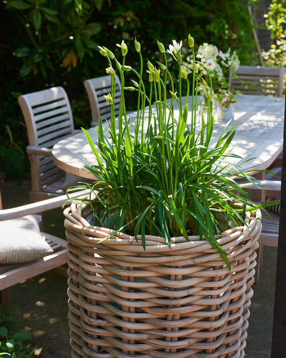 woven rattan planter with plastic liner