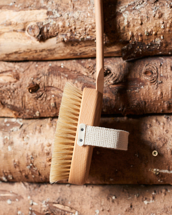 Long handled back brush in beechwood-horsehair and fibre