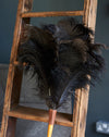 Finest quality Ostrich feather duster with hanging loop - Dark grey/Black