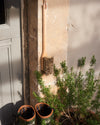 long handled boot brush in untreated beech