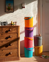 Brightly Coloured Japanese Utility storage buckets