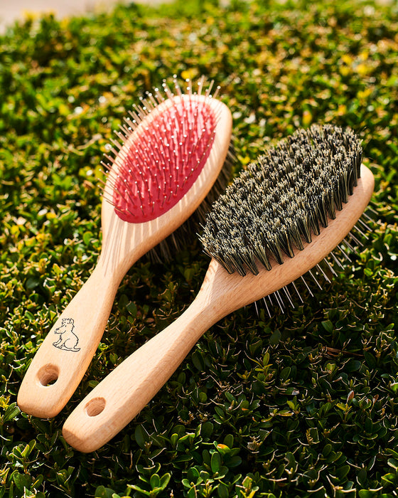 beechwood dog grooming brush