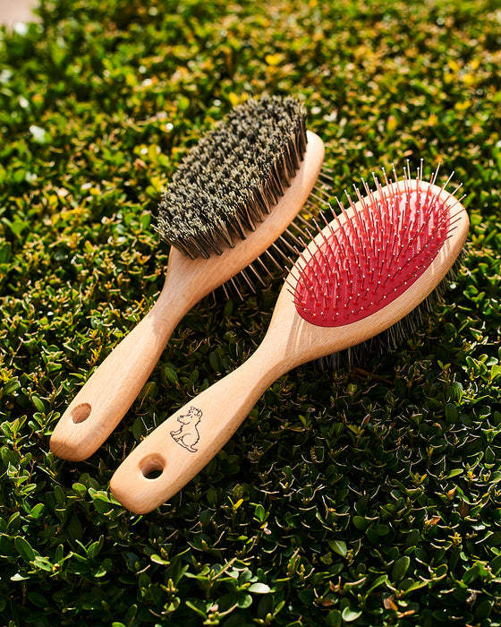 beechwood dog grooming brush