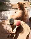 beechwood dog grooming brush