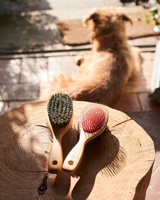 beechwood dog grooming brush