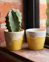 Espresso Cups in a yellow & cream glaze - set of 6