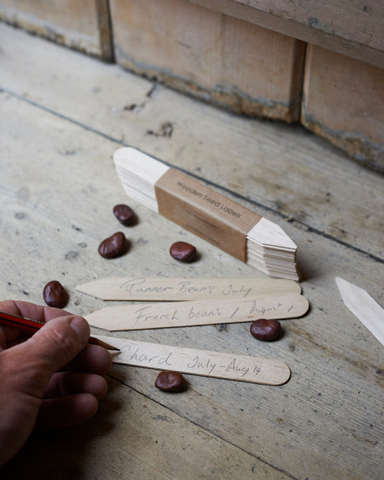 20 wooden seed labels for the garden shed & greenhouse