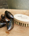 Mussel & seafood Scrubbing brush