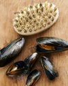 Mussel & seafood Scrubbing brush