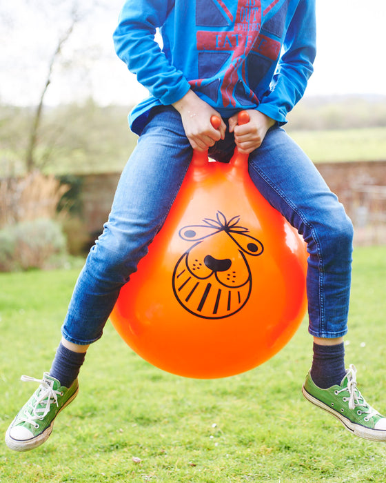 Giant space hopper & foot pump in retro style box