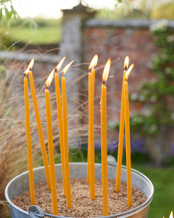 Bundle of beeswax candles-pencil